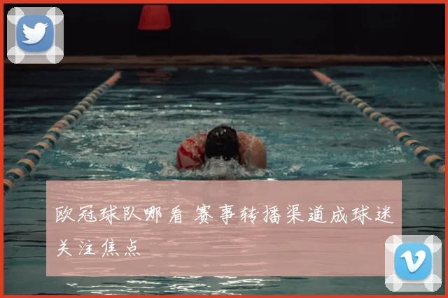 欧冠球队哪看 赛事转播渠道成球迷关注焦点