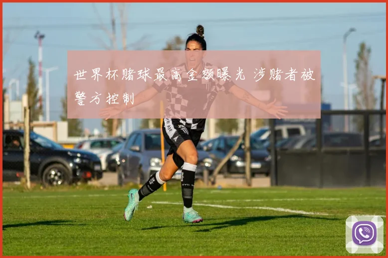 世界杯赌球最高金额曝光 涉赌者被警方控制