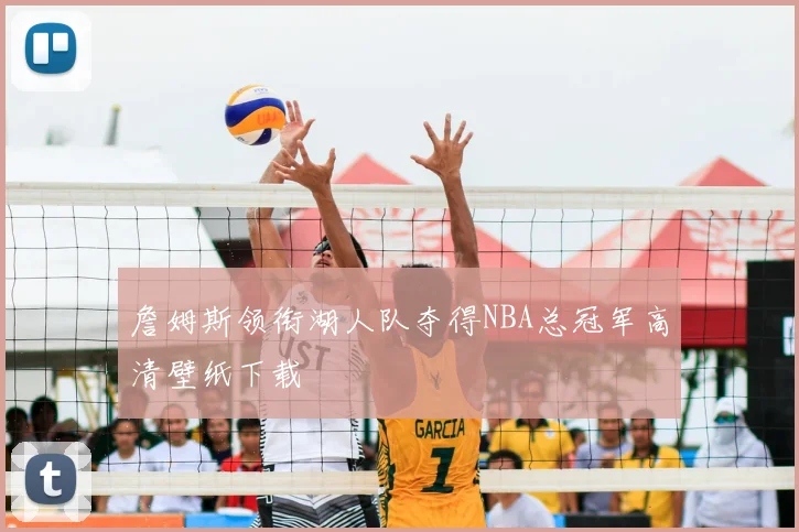 詹姆斯领衔湖人队夺得NBA总冠军高清壁纸下载