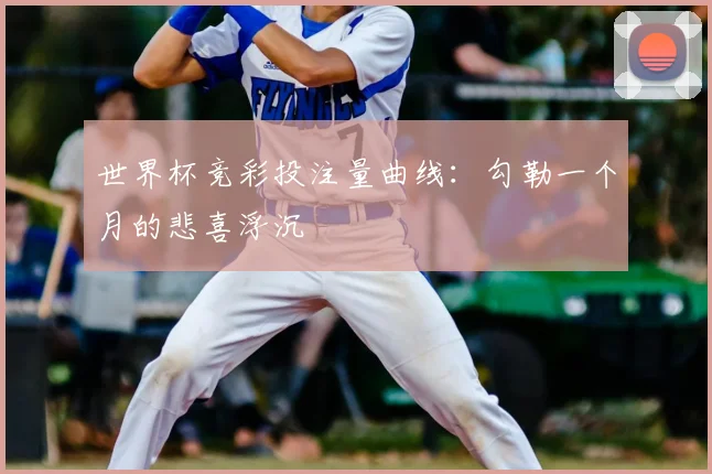 世界杯竞彩投注量曲线：勾勒一个月的悲喜浮沉