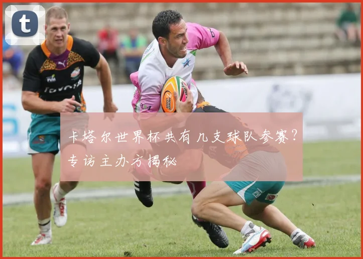 卡塔尔世界杯共有几支球队参赛?专访主办方揭秘