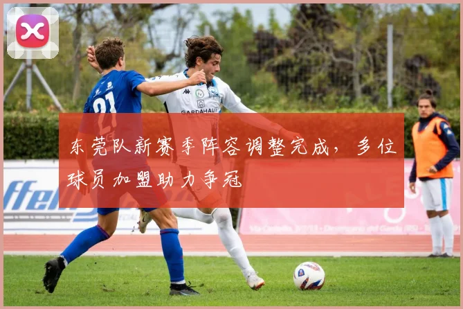 东莞队新赛季阵容调整完成,多位球员加盟助力争冠