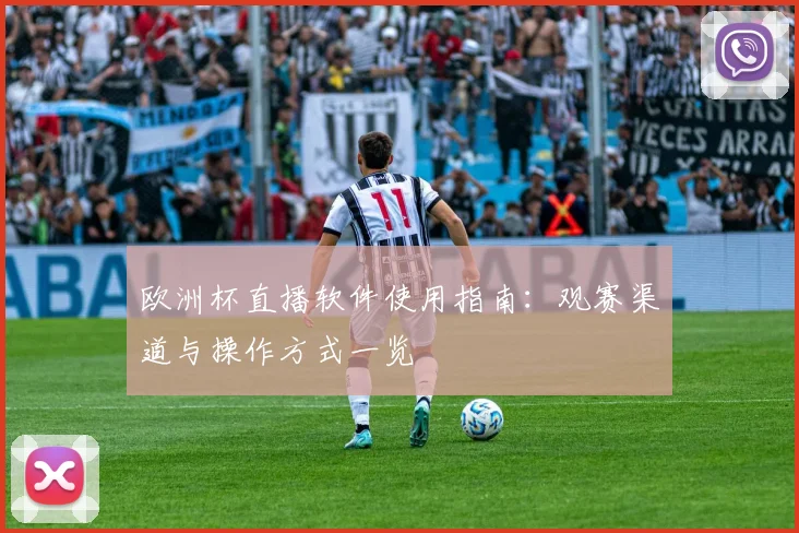 欧洲杯直播软件使用指南：观赛渠道与操作方式一览
