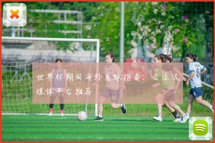 世界杯期间海外看球指南:合法流媒体平台推荐