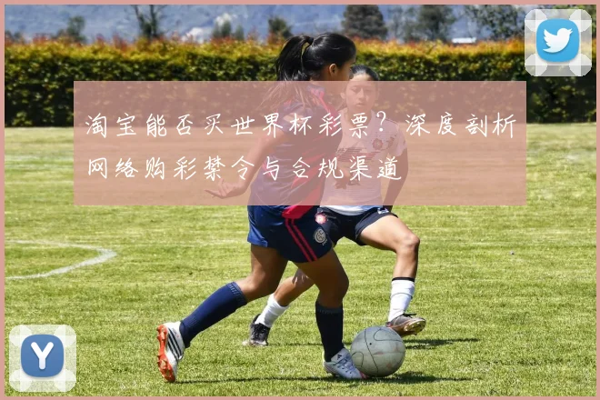 淘宝能否买世界杯彩票？深度剖析网络购彩禁令与合规渠道