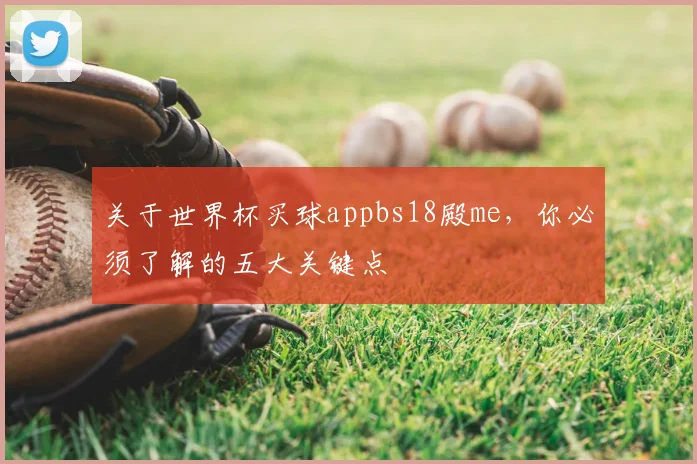 关于世界杯买球appbs18殿me,你必须了解的五大关键点